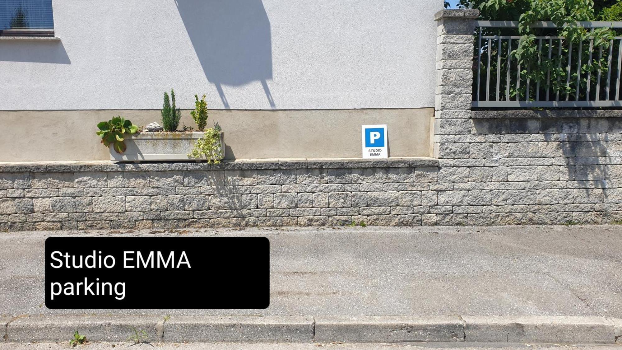 Studio Emma Ljubljana - Free Parking, Ac, Wifi Экстерьер фото